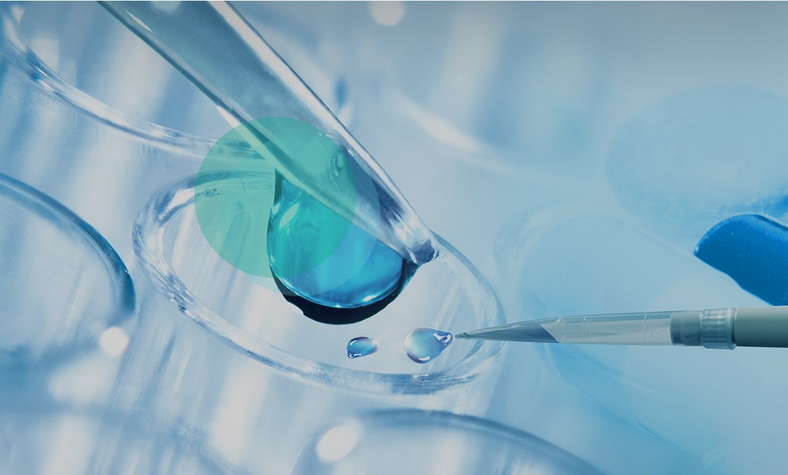 免疫组化（IHC）