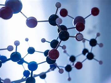 分子生物学服务