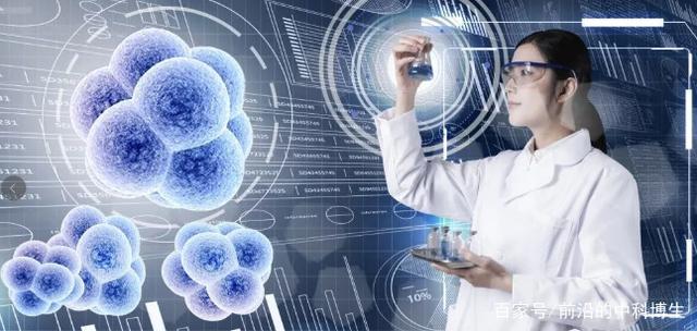 乳酸菌基因编辑服务