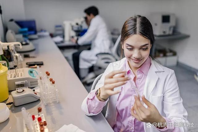 B细胞永生化服务