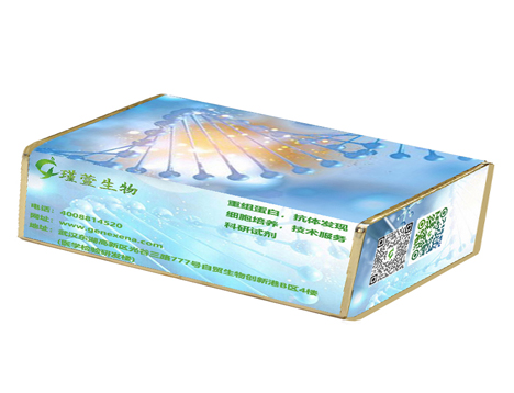 抗原85A(43-338aa)重组蛋白