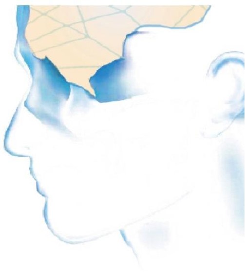 深低温自体骨冷链存储技术服务